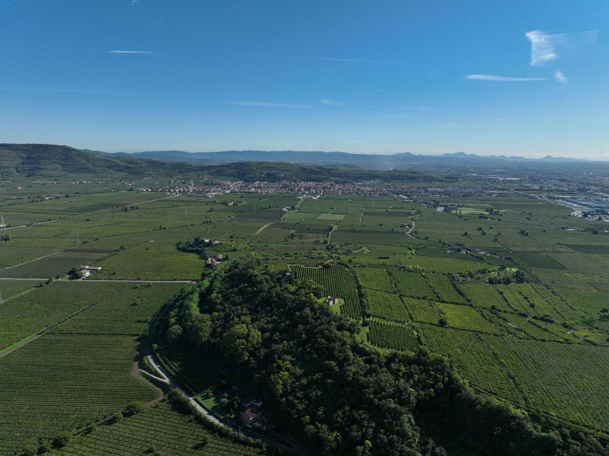 Agriturismo Monte Bisson Soave  Zewnętrze zdjęcie