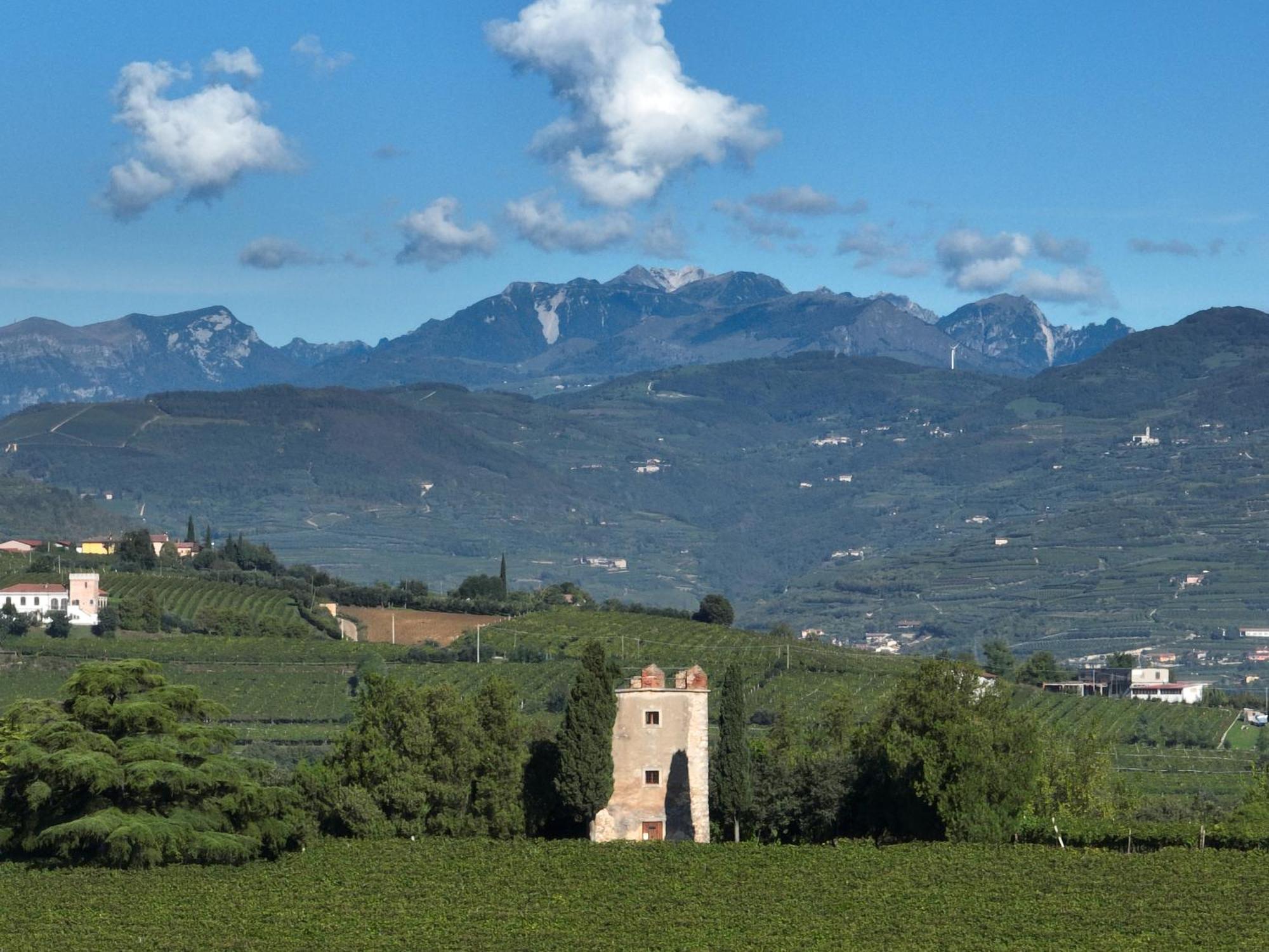 Agriturismo Monte Bisson Soave  Zewnętrze zdjęcie